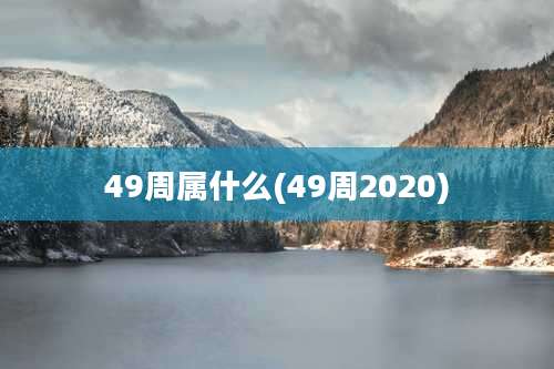 49周属什么(49周2020)