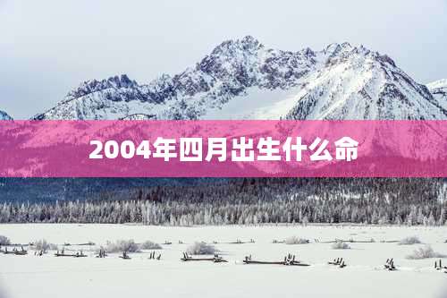 2004年四月出生什么命