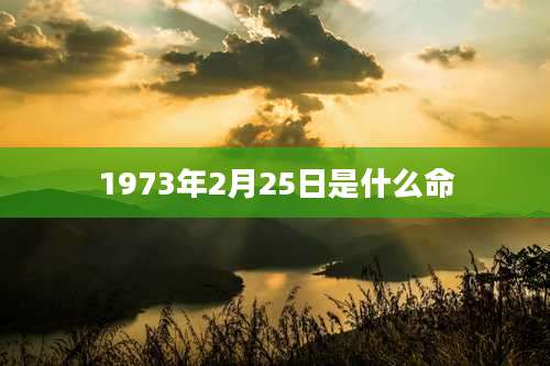1973年2月25日是什么命