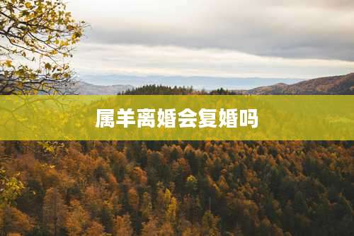 属羊离婚会复婚吗