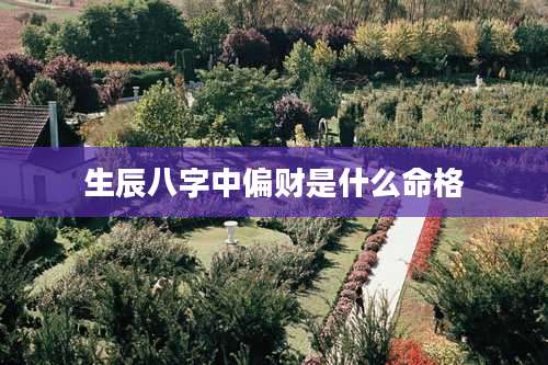 生辰八字中偏财是什么命格