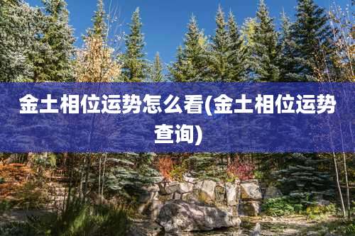 金土相位运势怎么看(金土相位运势查询)