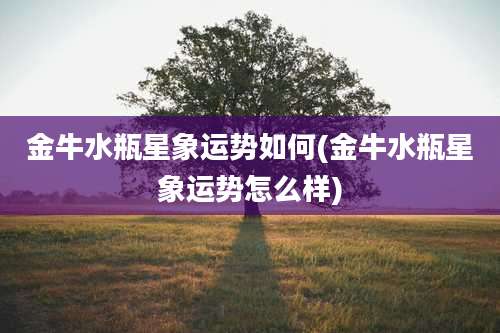 金牛水瓶星象运势如何(金牛水瓶星象运势怎么样)
