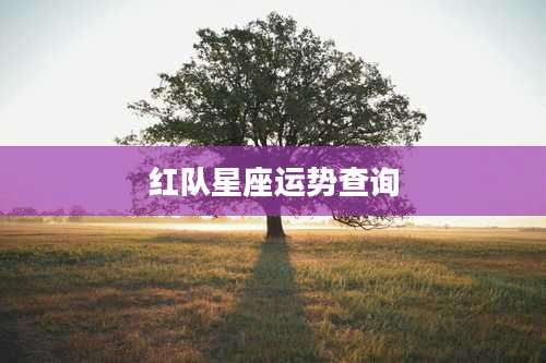 红队星座运势查询