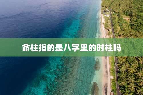 命柱指的是八字里的时柱吗