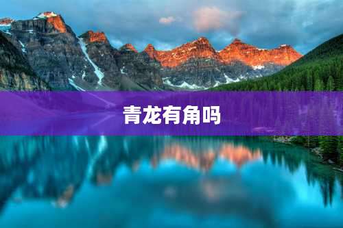 青龙有角吗