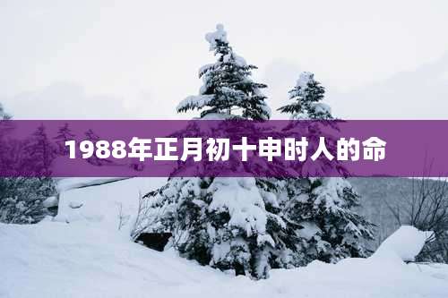 1988年正月初十申时人的命