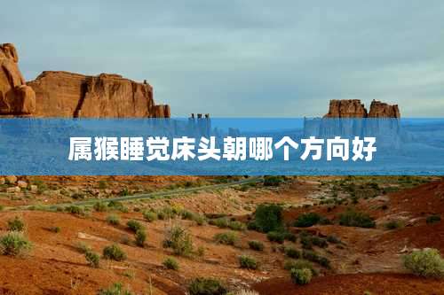 属猴睡觉床头朝哪个方向好