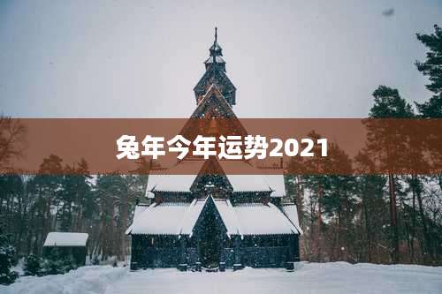 兔年今年运势2021
