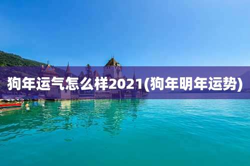 狗年运气怎么样2021(狗年明年运势)