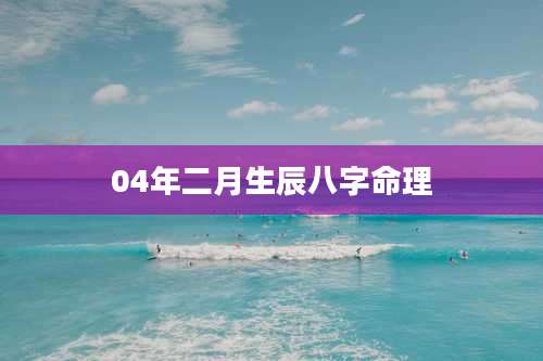 04年二月生辰八字命理