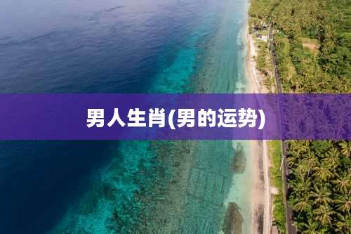 男人生肖(男的运势)
