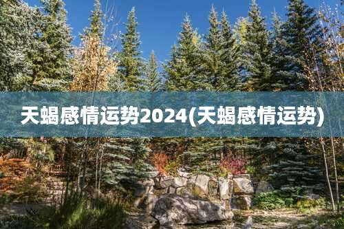 天蝎感情运势2024(天蝎感情运势)
