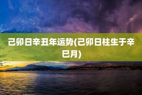 己卯日辛丑年运势(己卯日柱生于辛巳月)