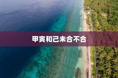 甲寅和己未合不合