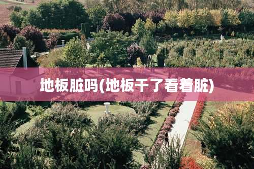 地板脏吗(地板干了看着脏)