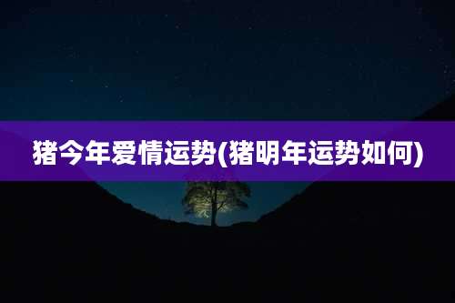 猪今年爱情运势(猪明年运势如何)