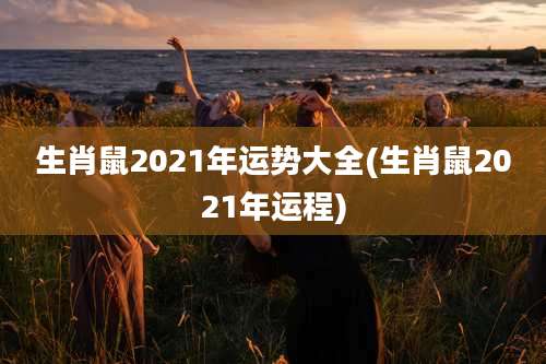 生肖鼠2021年运势大全(生肖鼠2021年运程)