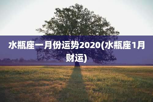水瓶座一月份运势2020(水瓶座1月财运)