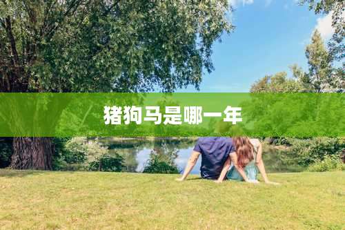 猪狗马是哪一年