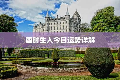 酉时生人今日运势详解