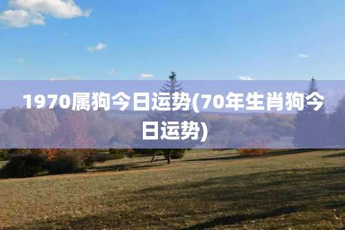 1970属狗今日运势(70年生肖狗今日运势)