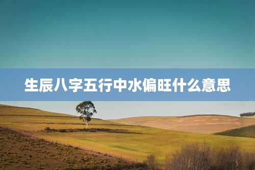 生辰八字五行中水偏旺什么意思
