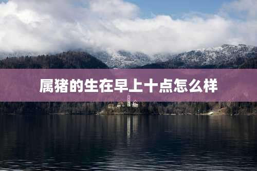 属猪的生在早上十点怎么样