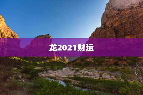 龙2021财运
