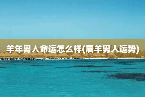 羊年男人命运怎么样(属羊男人运势)