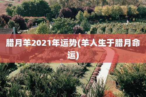 腊月羊2021年运势(羊人生于腊月命运)