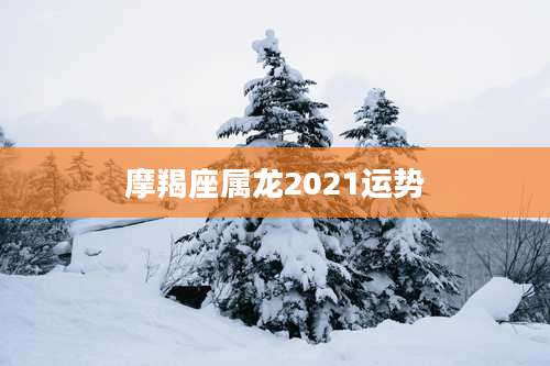 摩羯座属龙2021运势