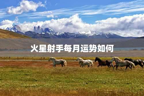 火星射手每月运势如何