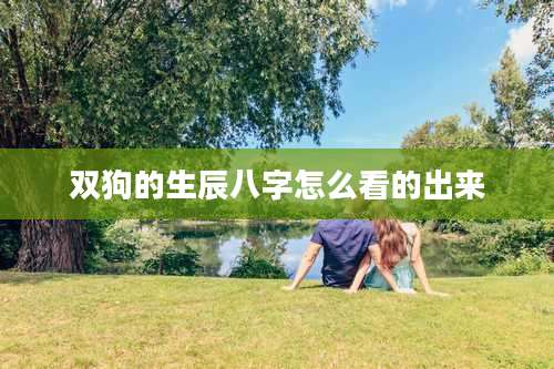 双狗的生辰八字怎么看的出来