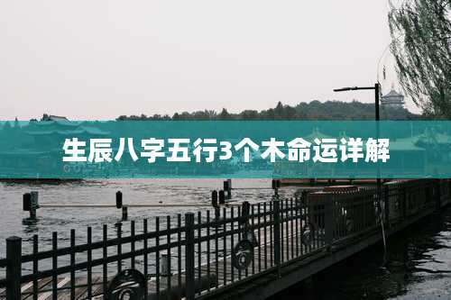 生辰八字五行3个木命运详解