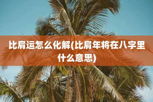 比肩运怎么化解(比肩年将在八字里什么意思)