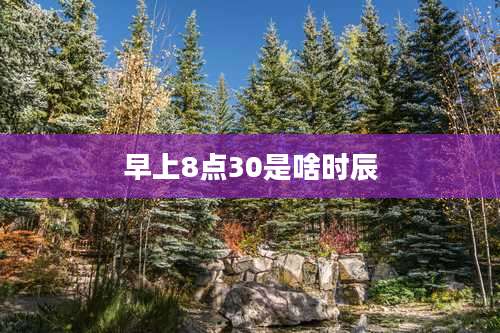 早上8点30是啥时辰