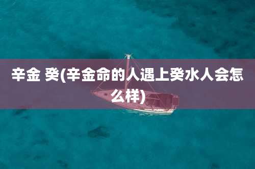 辛金 癸(辛金命的人遇上癸水人会怎么样)