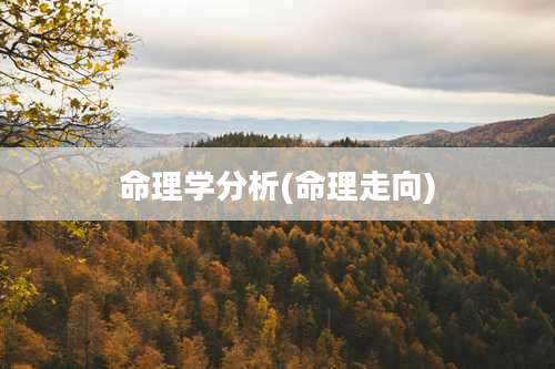 命理学分析(命理走向)