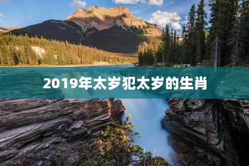 2019年太岁犯太岁的生肖