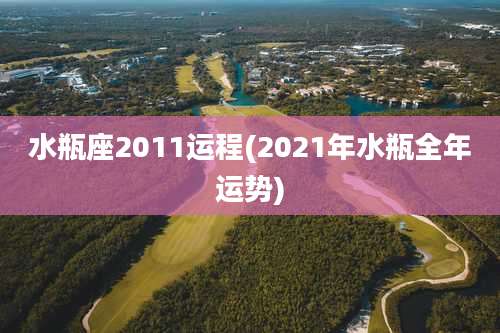 水瓶座2011运程(2021年水瓶全年运势)
