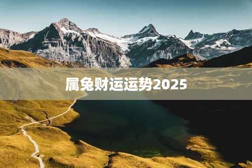 属兔财运运势2025