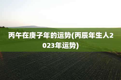 丙午在庚子年的运势(丙辰年生人2023年运势)
