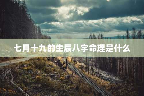 七月十九的生辰八字命理是什么