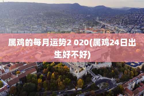 属鸡的每月运势2 020(属鸡24日出生好不好)