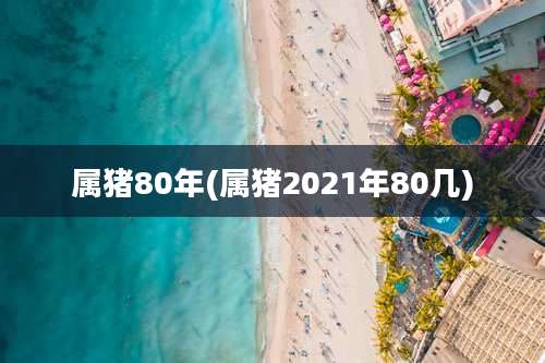 属猪80年(属猪2021年80几)