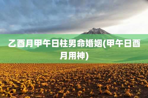 乙酉月甲午日柱男命婚姻(甲午日酉月用神)