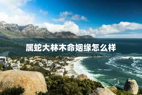 属蛇大林木命姻缘怎么样