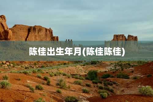 陈佳出生年月(陈佳陈佳)