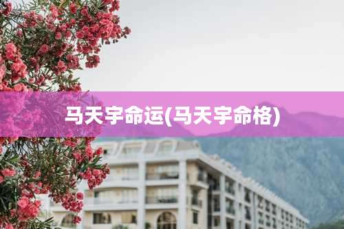 马天宇命运(马天宇命格)